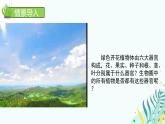 初中  生物  人教版（2024）  七年级上册第一节 藻类、 苔藓和蕨类 课件