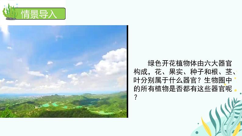 初中  生物  人教版（2024）  七年级上册第一节 藻类、 苔藓和蕨类 课件第2页