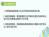 初中  生物  人教版（2024）  七年级上册第一节 藻类、 苔藓和蕨类 课件