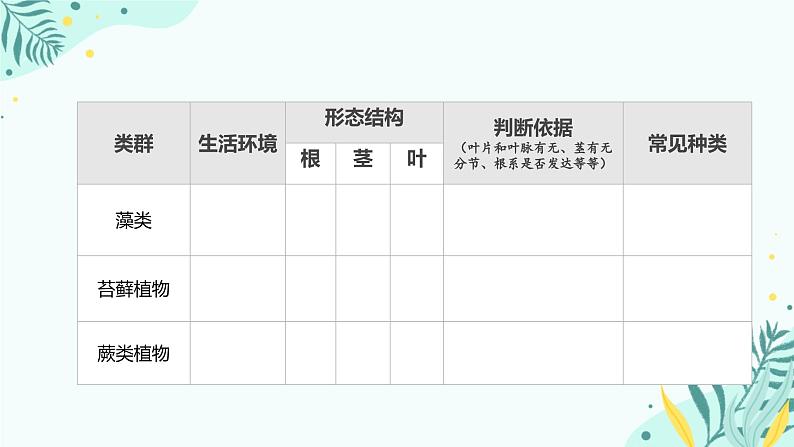 初中  生物  人教版（2024）  七年级上册第一节 藻类、 苔藓和蕨类 课件第5页