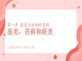 初中  生物  人教版（2024）  七年级上册第一节 藻类、 苔藓和蕨类 课件