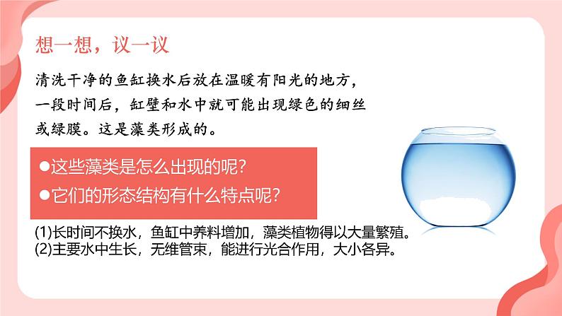 初中  生物  人教版（2024）  七年级上册第一节 藻类、 苔藓和蕨类 课件第2页