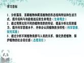 初中  生物  人教版（2024）  七年级上册第一节 藻类、 苔藓和蕨类 课件