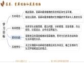 初中  生物  人教版（2024）  七年级上册第一节 藻类、 苔藓和蕨类 课件