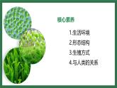 初中  生物  人教版（2024）  七年级上册第一节 藻类、 苔藓和蕨类 课件
