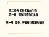 初中  生物  人教版（2024）  七年级上册第一节 藻类、 苔藓和蕨类 课件