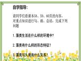 初中  生物  人教版（2024）  七年级上册第一节 藻类、 苔藓和蕨类 课件