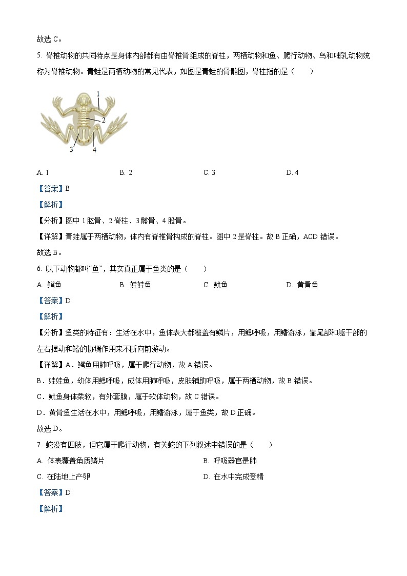 湖北武汉市黄陂区2023-2024学年八年级上学期生物期中卷及答案第3页