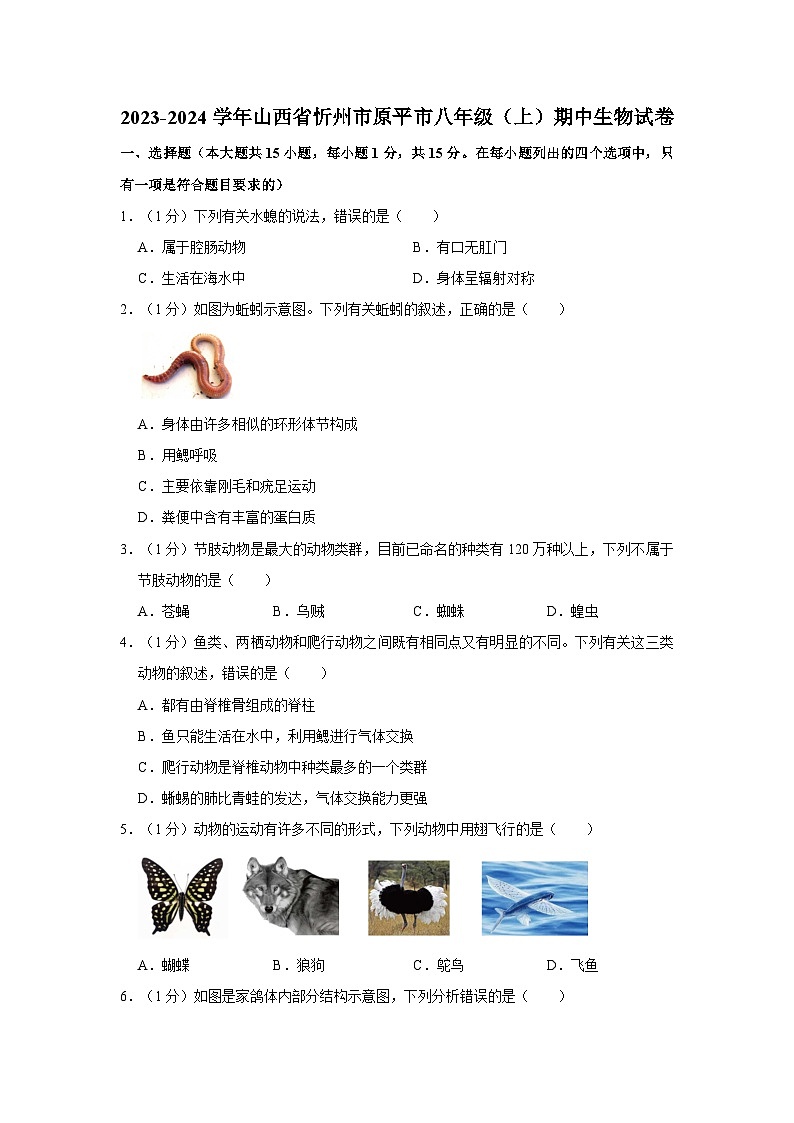 山西忻州原平市2023-2024学年八年级上学期生物期中卷及答案第1页