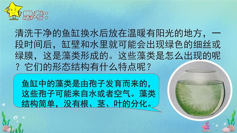 初中  生物  人教版（2024）  七年级上册第一节 藻类、 苔藓和蕨类 课件第1页