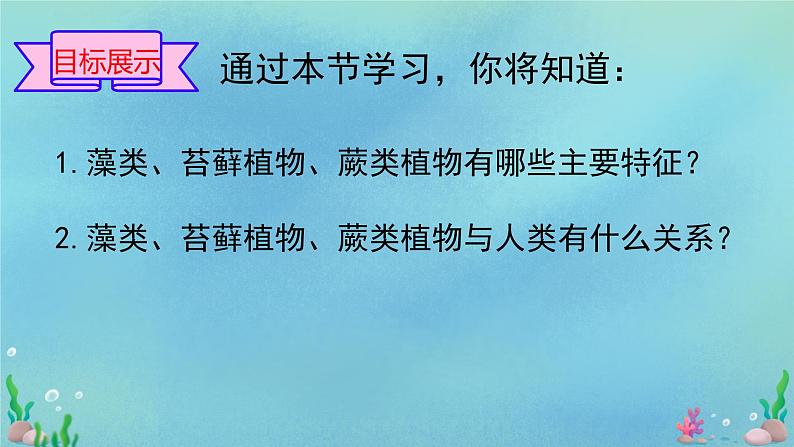 初中  生物  人教版（2024）  七年级上册第一节 藻类、 苔藓和蕨类 课件第3页