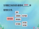 初中  生物  人教版（2024）  七年级上册第一节 藻类、 苔藓和蕨类 课件