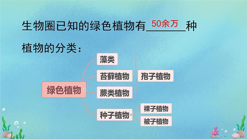 初中  生物  人教版（2024）  七年级上册第一节 藻类、 苔藓和蕨类 课件第4页