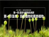 初中  生物  人教版（2024）  七年级上册第一节 藻类、 苔藓和蕨类 课件