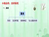 初中  生物  人教版（2024）  七年级上册第一节 藻类、 苔藓和蕨类 课件