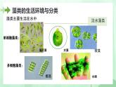 初中  生物  人教版（2024）  七年级上册第一节 藻类、 苔藓和蕨类 课件