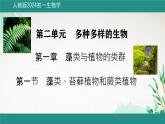 初中  生物  人教版（2024）  七年级上册第一节 藻类、 苔藓和蕨类 课件