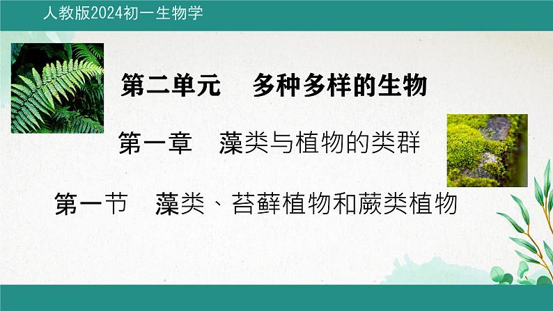 初中  生物  人教版（2024）  七年级上册第一节 藻类、 苔藓和蕨类 课件第1页