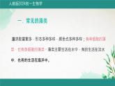 初中  生物  人教版（2024）  七年级上册第一节 藻类、 苔藓和蕨类 课件