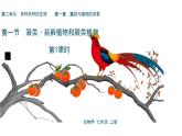 初中  生物  人教版（2024）  七年级上册第一节 藻类、 苔藓和蕨类 课件