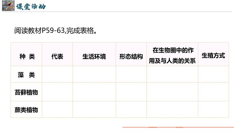 初中  生物  人教版（2024）  七年级上册第一节 藻类、 苔藓和蕨类 课件第3页