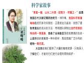 初中  生物  人教版（2024）  七年级上册第一节 藻类、 苔藓和蕨类 课件