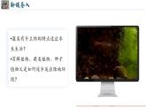 初中  生物  人教版（2024）  七年级上册第一节 藻类、 苔藓和蕨类 课件