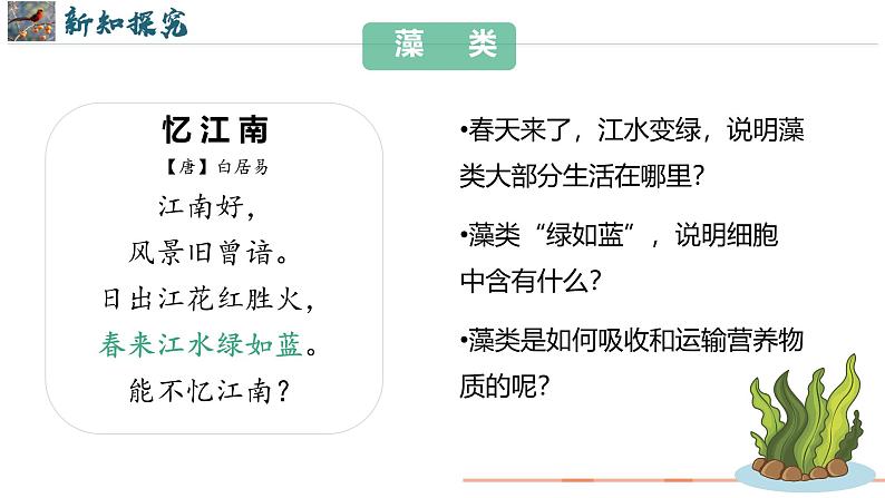 初中  生物  人教版（2024）  七年级上册第一节 藻类、 苔藓和蕨类 课件第6页