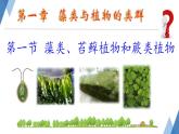 初中  生物  人教版（2024）  七年级上册第一节 藻类、 苔藓和蕨类 课件