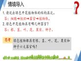 初中  生物  人教版（2024）  七年级上册第一节 藻类、 苔藓和蕨类 课件