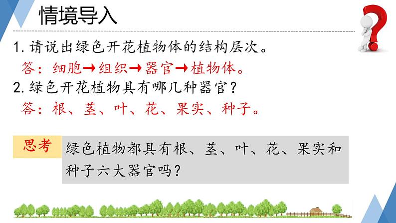 初中  生物  人教版（2024）  七年级上册第一节 藻类、 苔藓和蕨类 课件第3页