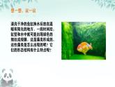 初中  生物  人教版（2024）  七年级上册第一节 藻类、 苔藓和蕨类 课件
