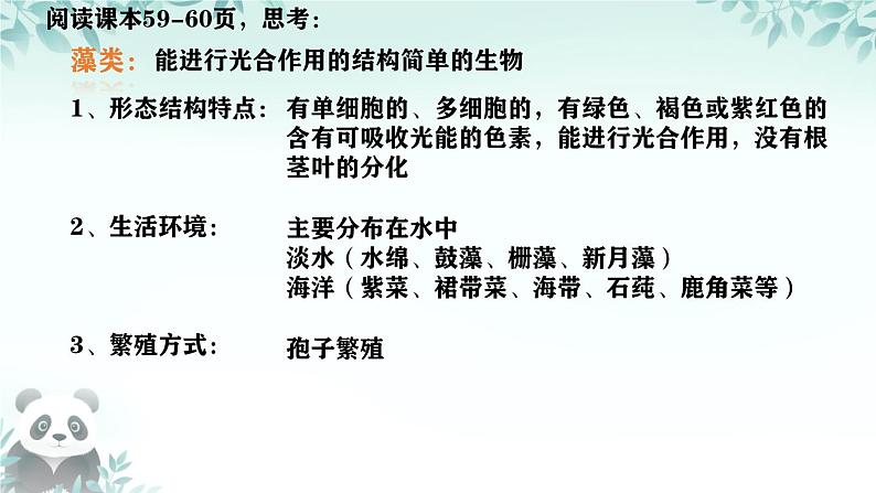 初中  生物  人教版（2024）  七年级上册第一节 藻类、 苔藓和蕨类 课件第7页