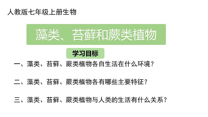 初中  生物  人教版（2024）  七年级上册第一节 藻类、 苔藓和蕨类 课件第3页