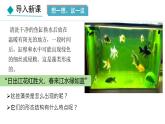 初中  生物  人教版（2024）  七年级上册第一节 藻类、 苔藓和蕨类 课件