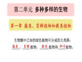 初中  生物  人教版（2024）  七年级上册第一节 藻类、 苔藓和蕨类 课件