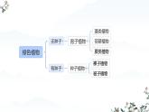 初中  生物  人教版（2024）  七年级上册第一节 藻类、 苔藓和蕨类 课件
