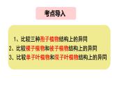 初中  生物  人教版（2024）  七年级上册第一节 藻类、 苔藓和蕨类 课件