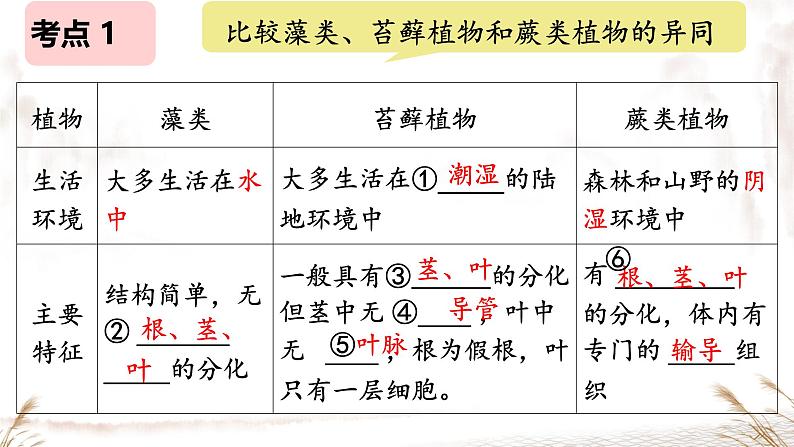 初中  生物  人教版（2024）  七年级上册第一节 藻类、 苔藓和蕨类 课件第6页