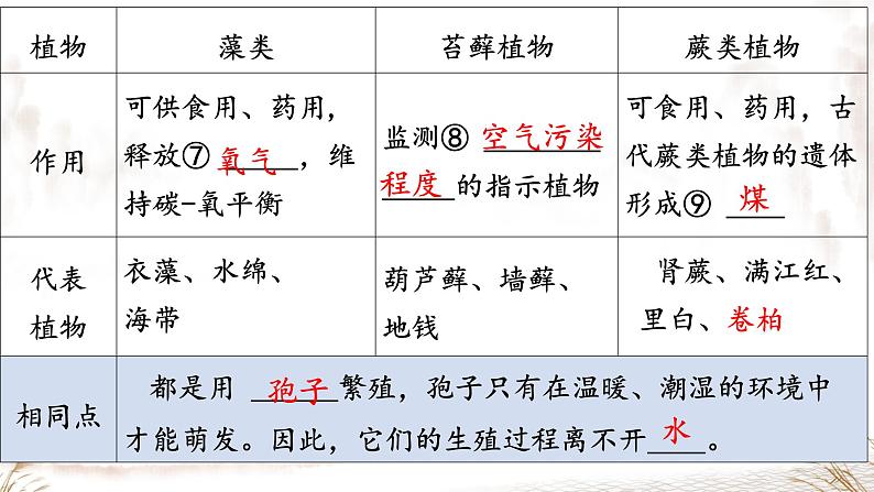 初中  生物  人教版（2024）  七年级上册第一节 藻类、 苔藓和蕨类 课件第7页