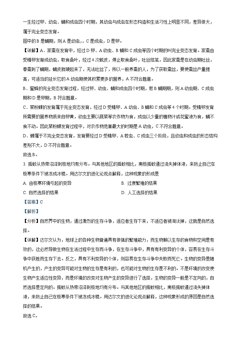 湖南省邵阳市新宁县思源实验学校2023-2024学年八年级上学期第二次生物月考试卷（解析版）-A4第2页