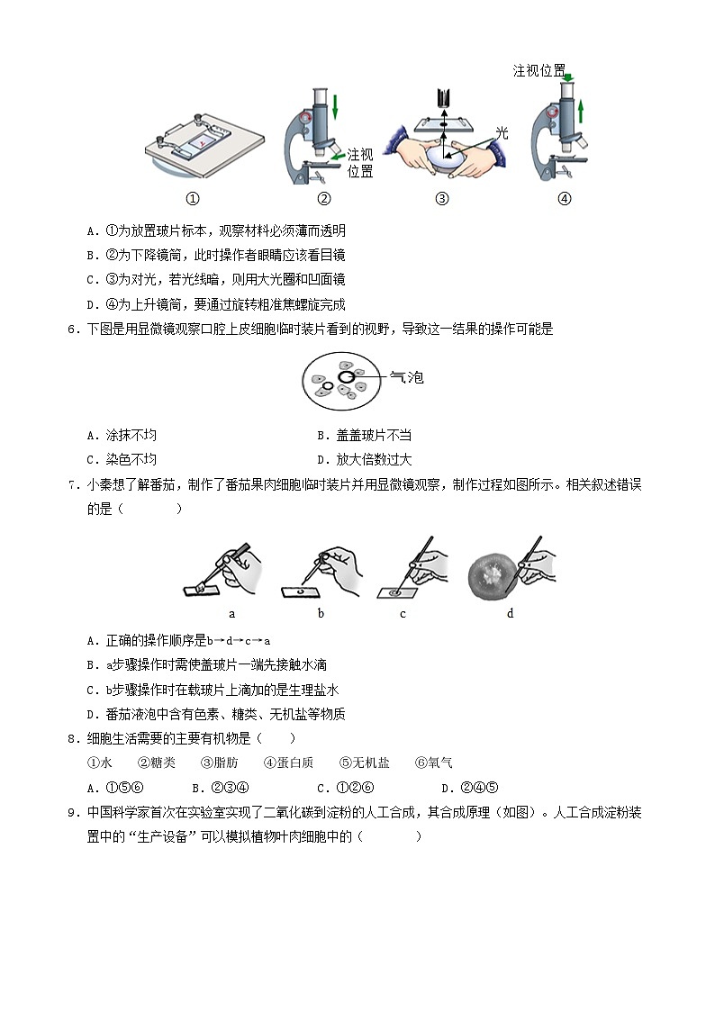 七年级生物期末模拟卷【测试范围：人教版2024上册全册】（考试版）-A4第2页