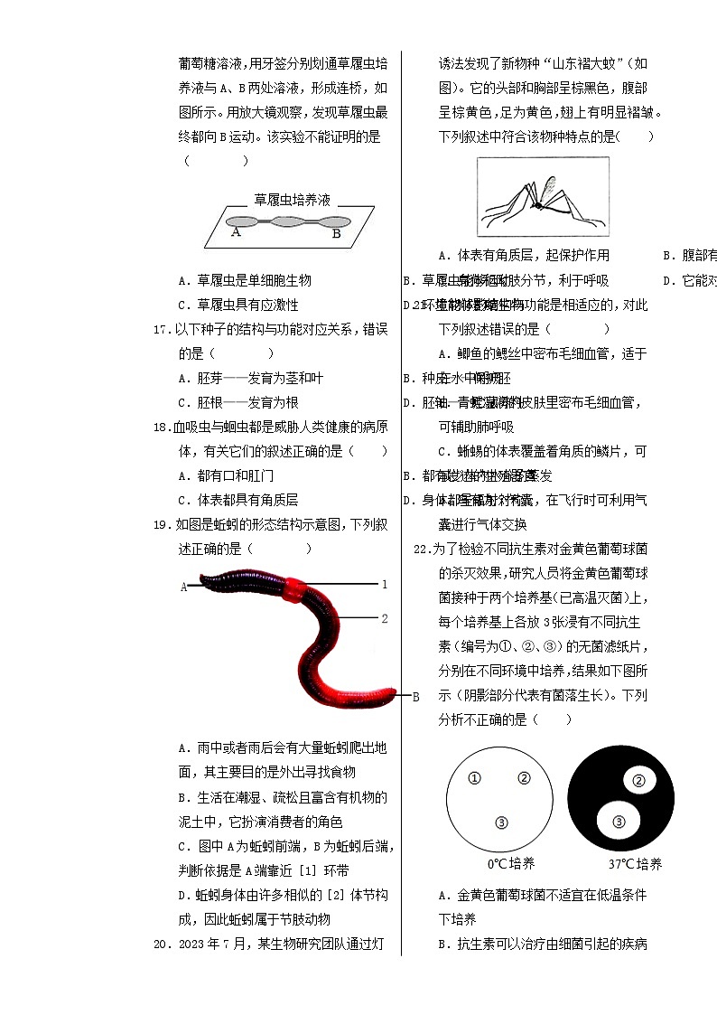 七年级生物期末模拟卷【测试范围：人教版2024上册全册】（考试版A3）-A4第3页