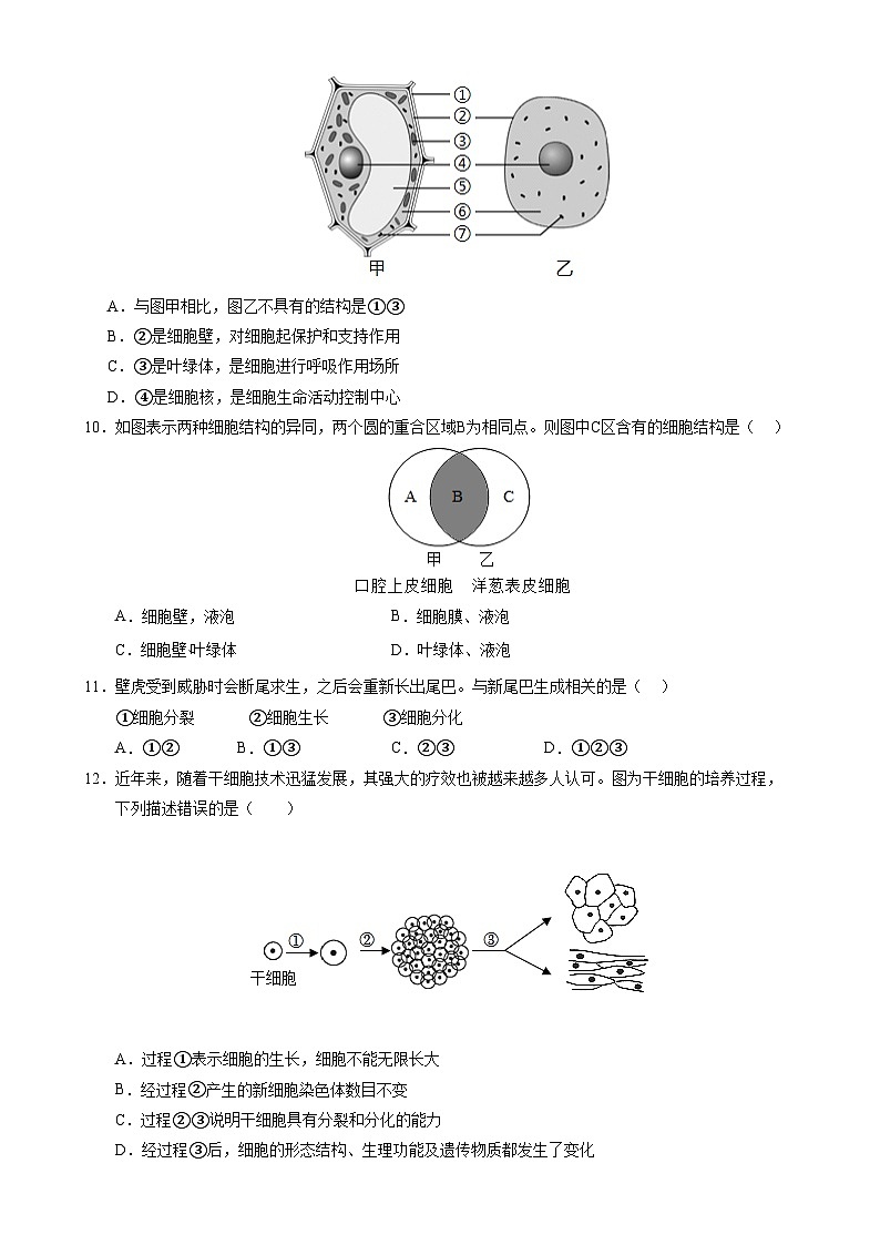 七年级生物期末模拟卷【测试范围：济南版2024上册全部内容】（考试版）-A4第3页