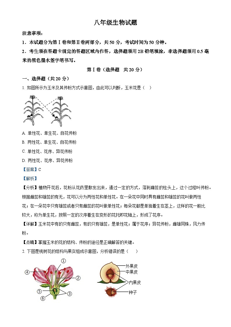 山东省菏泽市菏泽经济技术开发区2024-2025学年八年级上学期期中生物学试题（解析版）-A4第1页