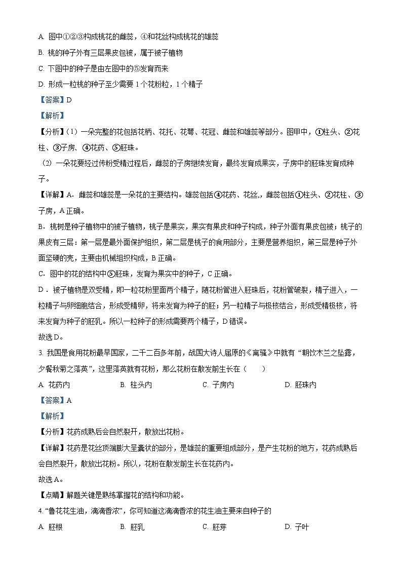 山东省菏泽市菏泽经济技术开发区2024-2025学年八年级上学期期中生物学试题（解析版）-A4第2页