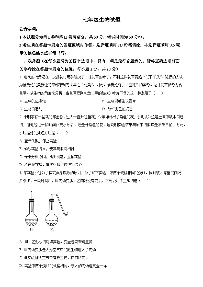 山东省菏泽市经济技术开发区2024-2025学年七年级上学期期中生物试题（原卷版）-A4第1页