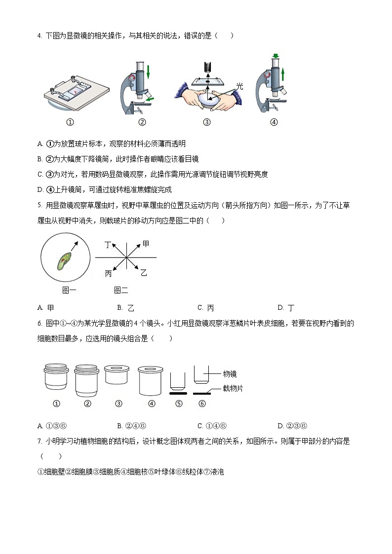 山东省菏泽市经济技术开发区2024-2025学年七年级上学期期中生物试题（原卷版）-A4第2页