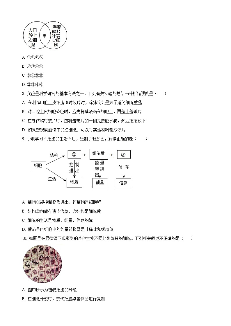 山东省菏泽市经济技术开发区2024-2025学年七年级上学期期中生物试题（原卷版）-A4第3页