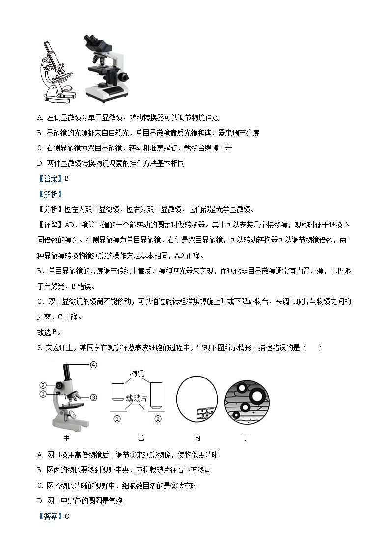 陕西省咸阳市实验中学2024-2025学年七年级上学期期中生物试题（解析版）-A4第3页